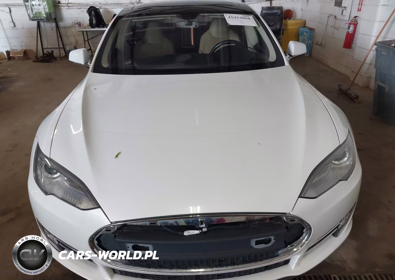 2012 Tesla Model S Performance-Signature Performance VIN:5YJSA1CPXCFP01820 - 11