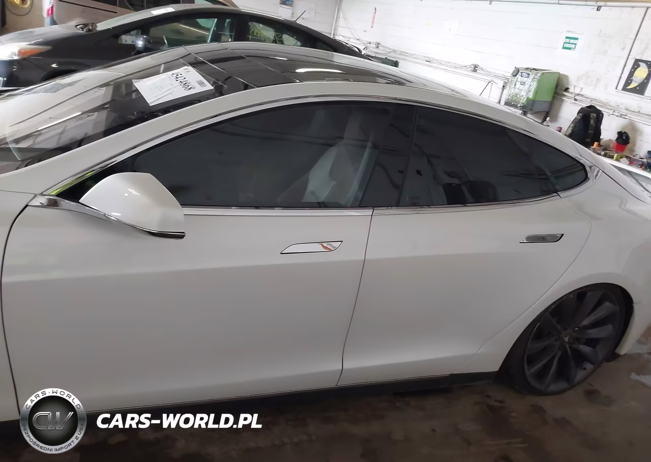 2012 Tesla Model S Performance-Signature Performance VIN:5YJSA1CPXCFP01820 - 13