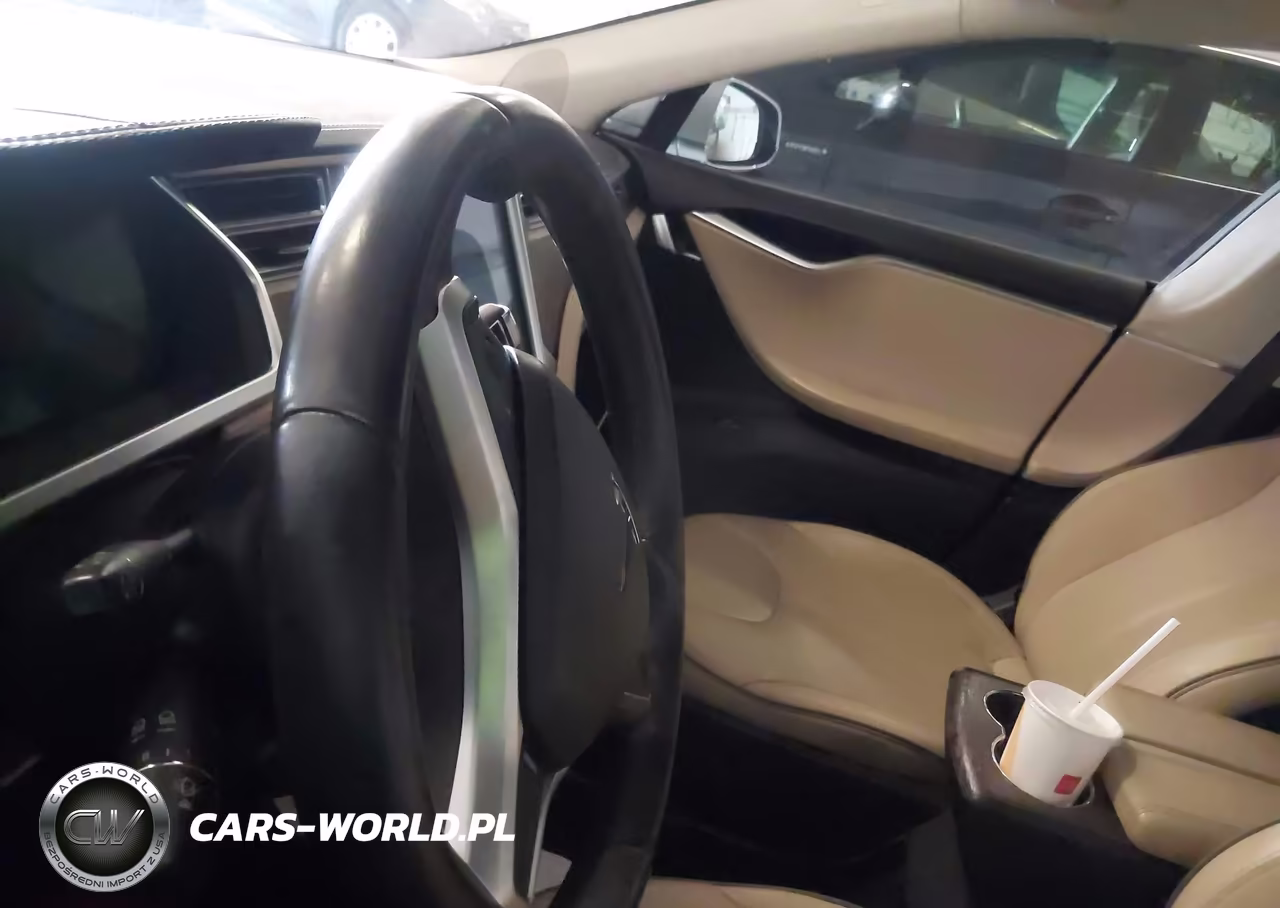 2012 Tesla Model S Performance-Signature Performance VIN:5YJSA1CPXCFP01820 - 16