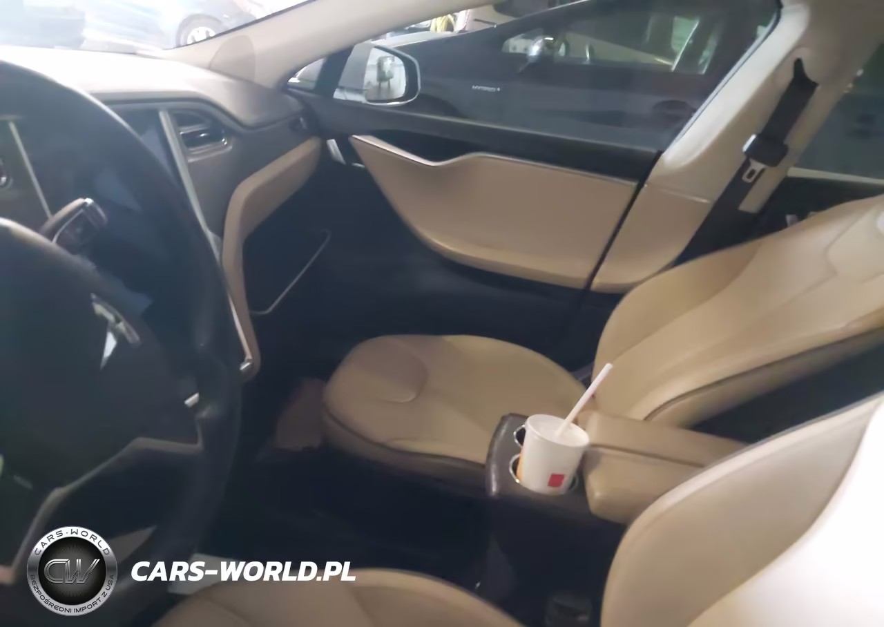 2012 Tesla Model S Performance-Signature Performance VIN:5YJSA1CPXCFP01820 - 17