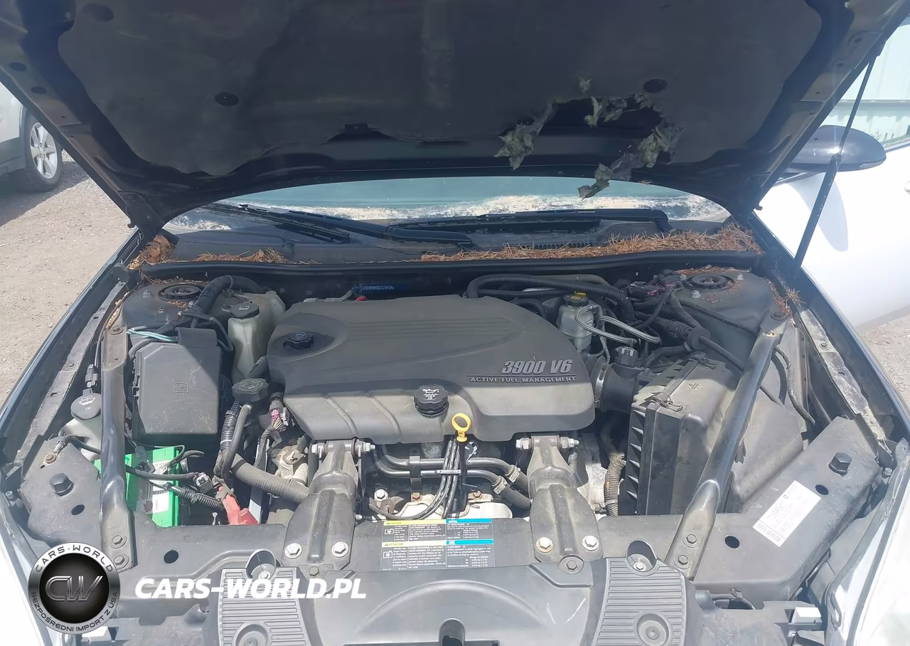 2008 Chevrolet Impala Police VIN:2G1WS553281276404 - 10