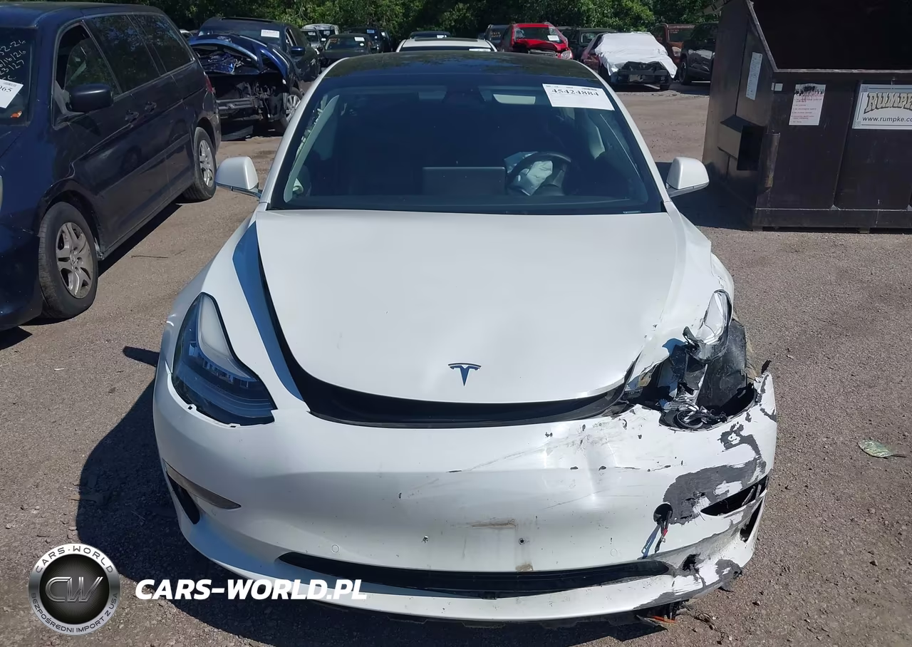 2020 Tesla Model 3 Long Range Dual Motor All-Wheel Drive VIN:5YJ3E1EB7LF619425 - 11