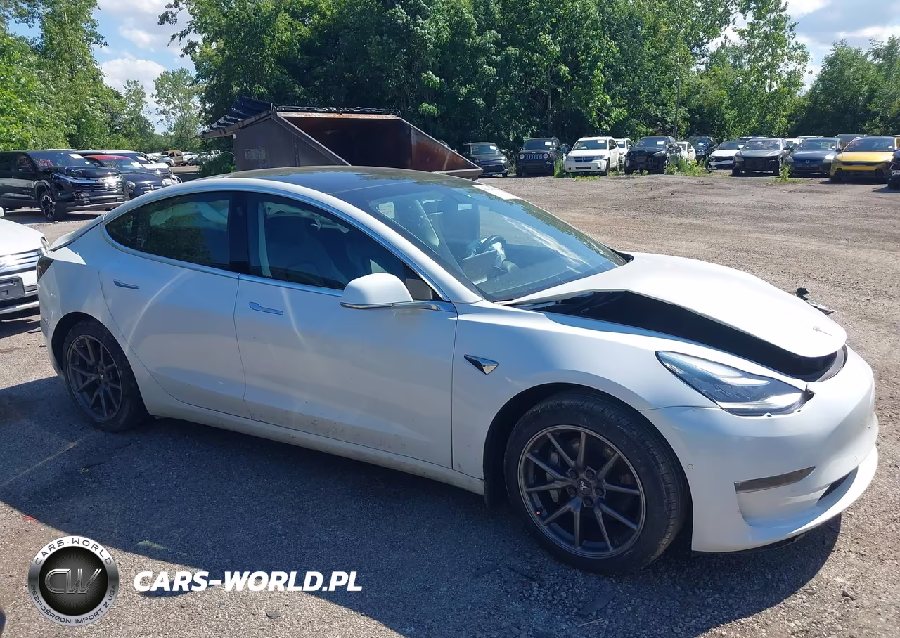 2020 Tesla Model 3 Long Range Dual Motor All-Wheel Drive VIN:5YJ3E1EB7LF619425 - 12