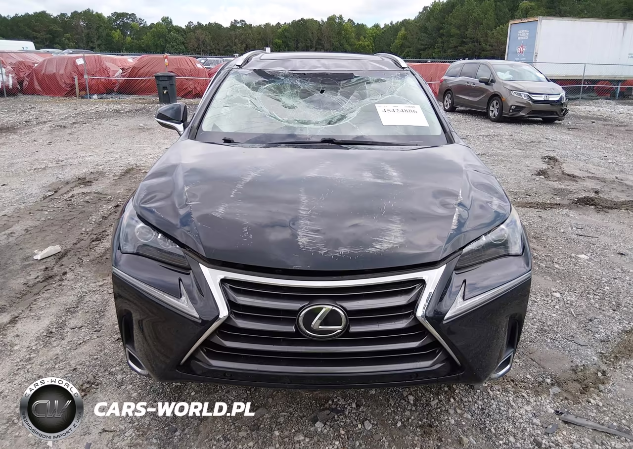 2016 Lexus Nx 200T VIN:JTJYARBZ3G2047518 - 12