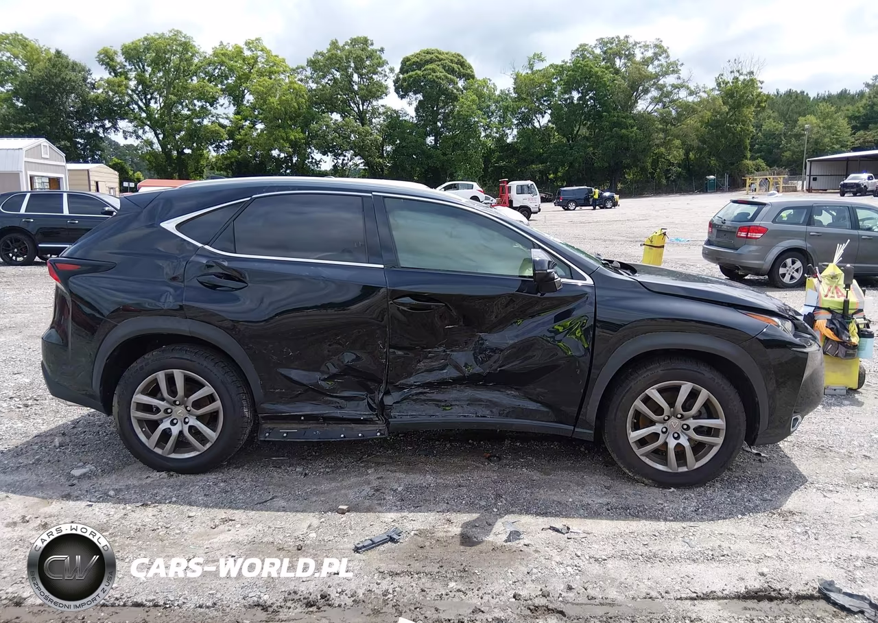 2016 Lexus Nx 200T VIN:JTJYARBZ3G2047518 - 13