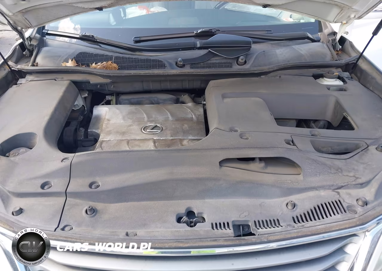 2014 Lexus Rx 350 VIN:JTJZK1BA4E2013808 - 10