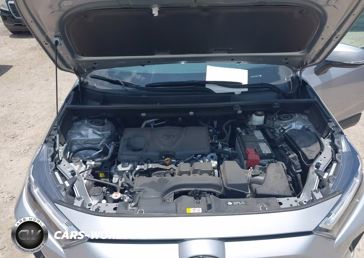 2025 Toyota Rav4 Xle VIN:2T3W1RFV2SW387437 - 10