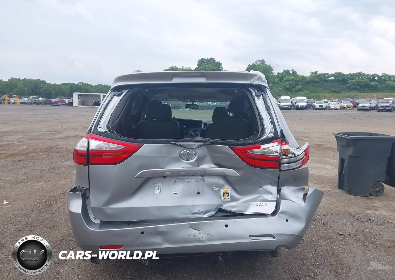 2016 Toyota Sienna Xle 8 Passenger VIN:5TDYK3DC3GS746744 - 6