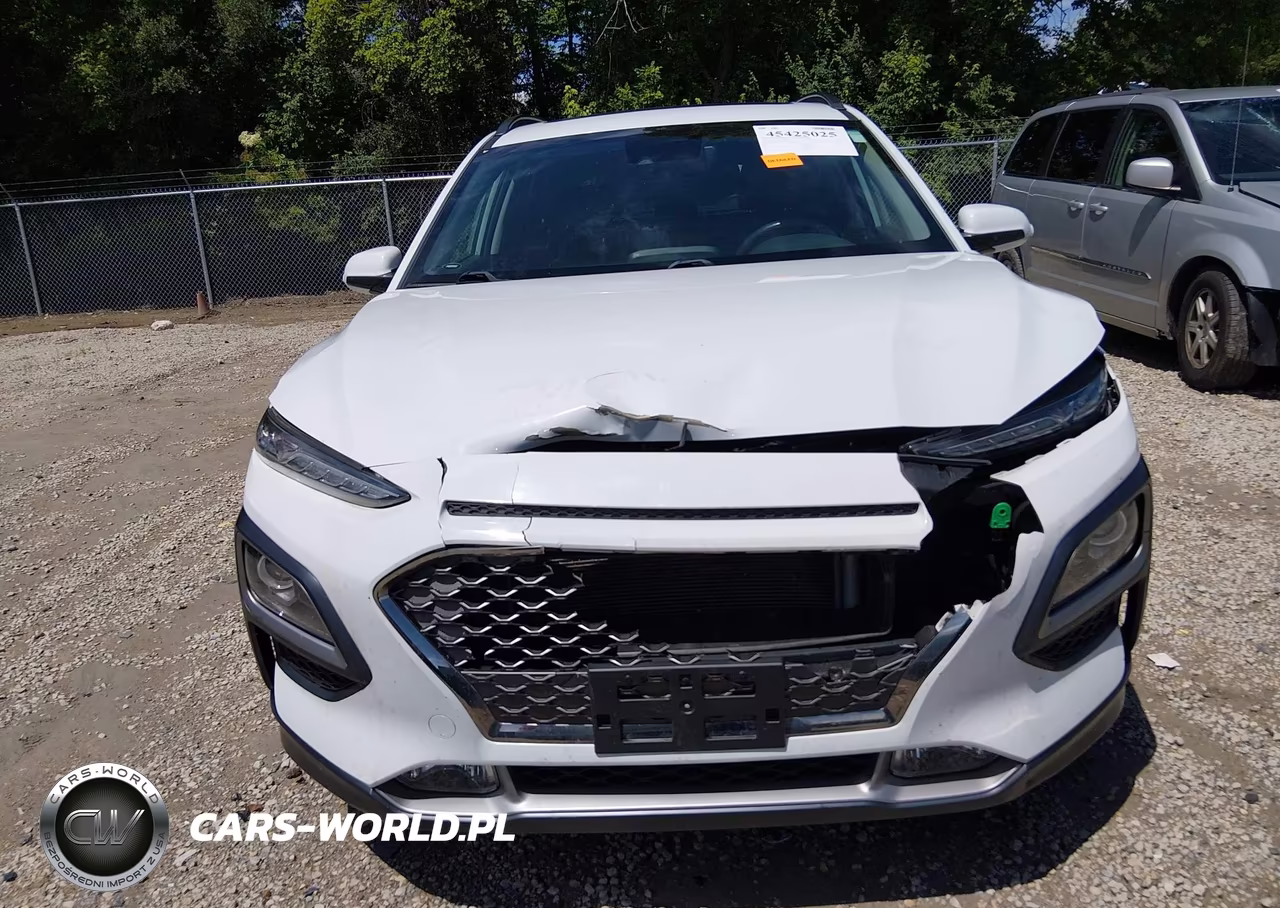 2019 Hyundai Kona Limited VIN:KM8K33A58KU198734 - 12