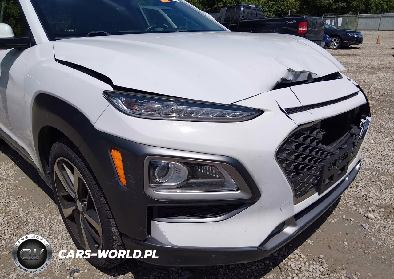 2019 Hyundai Kona Limited VIN:KM8K33A58KU198734 - 17