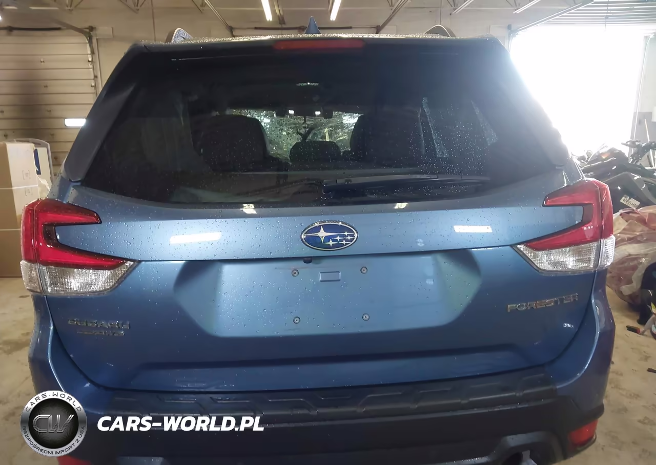 2020 Subaru Forester Limited VIN:JF2SKAUC0LH591208 - 17