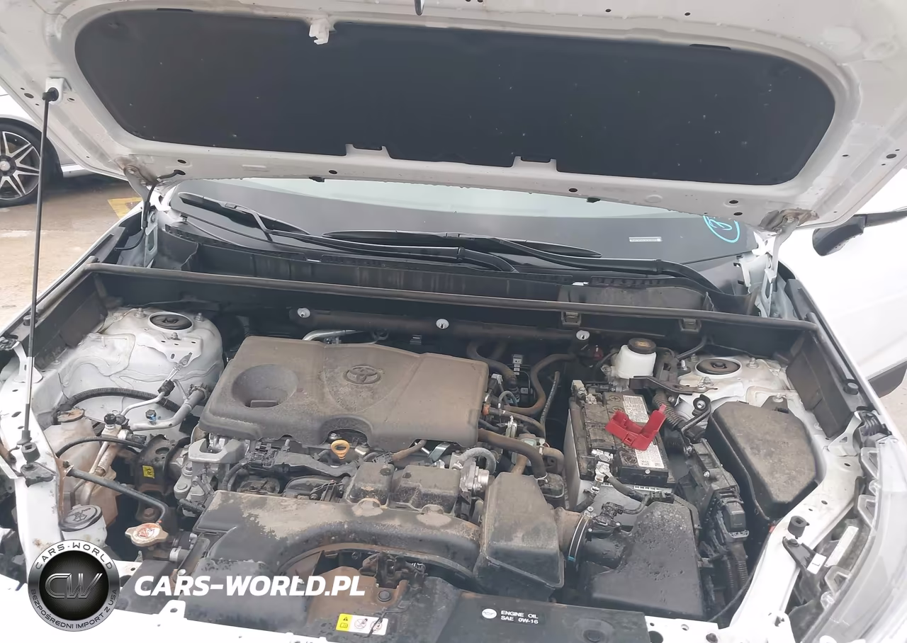 2025 Toyota Rav4 Xle VIN:2T3W1RFV8SW383148 - 10