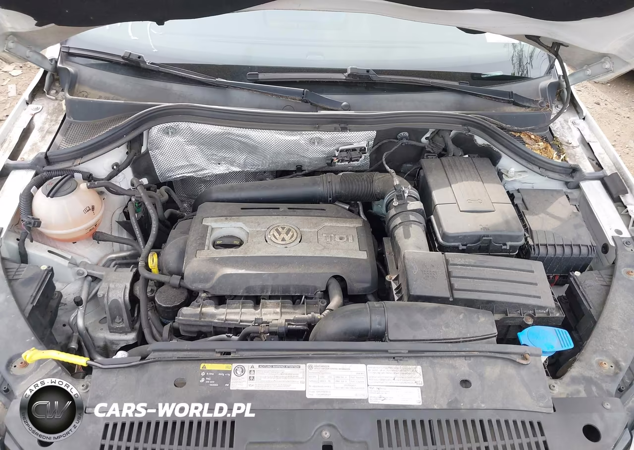 2016 Volkswagen Tiguan Se VIN:WVGBV7AX1GW573085 - 10