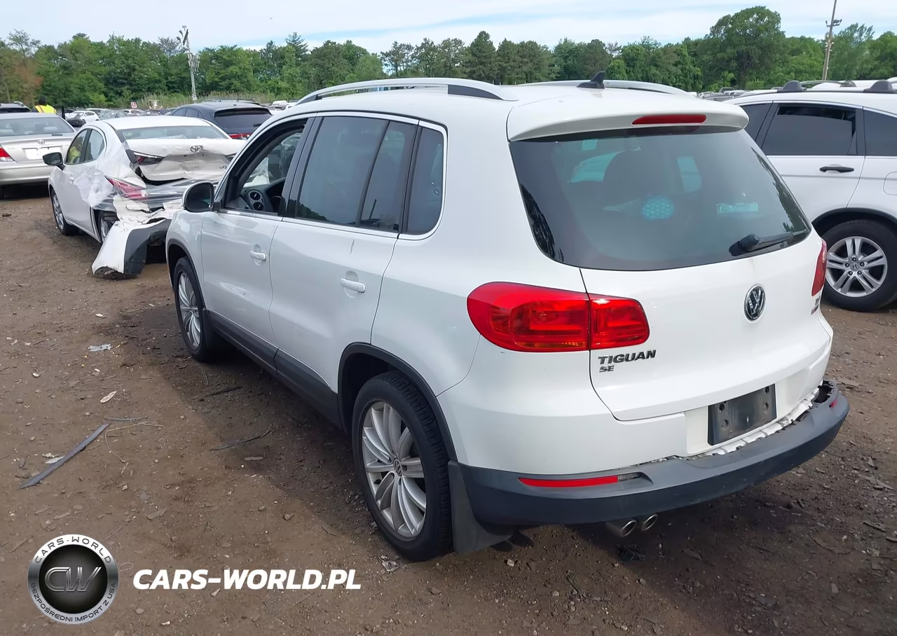 2016 Volkswagen Tiguan Se VIN:WVGBV7AX1GW573085 - 3