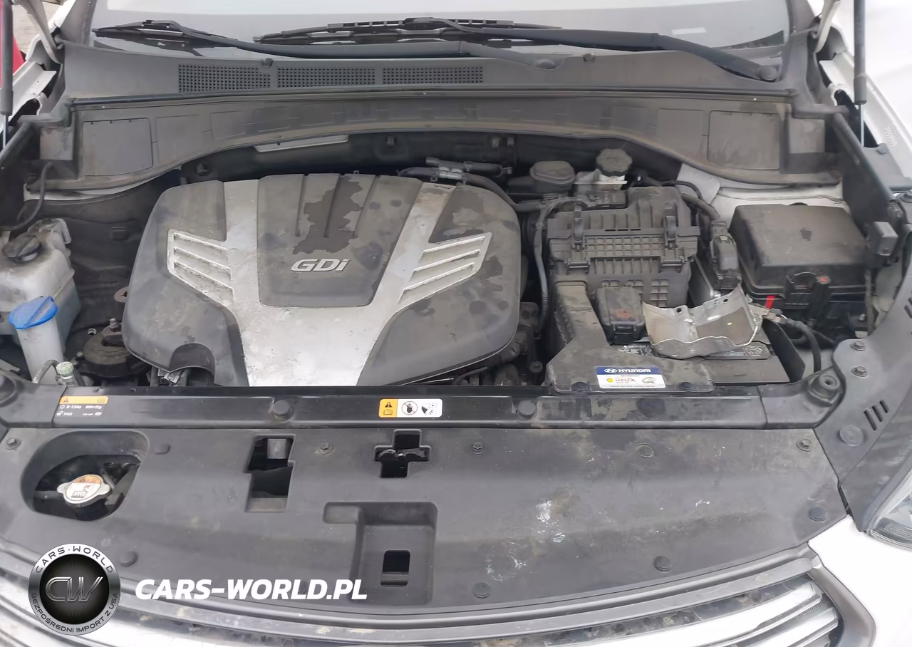 2017 Hyundai Santa Fe Se Ultimate VIN:KM8SR4HF5HU196645 - 10