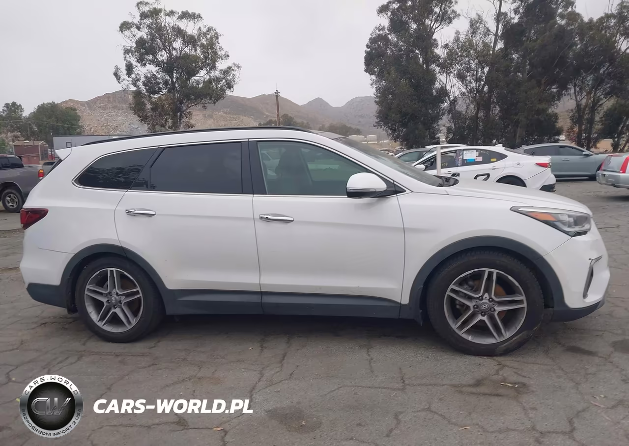 2017 Hyundai Santa Fe Se Ultimate VIN:KM8SR4HF5HU196645 - 13