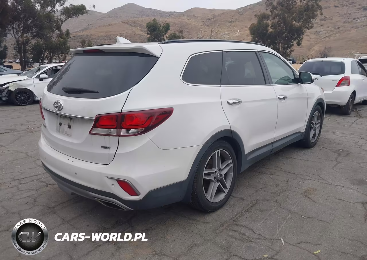 2017 Hyundai Santa Fe Se Ultimate VIN:KM8SR4HF5HU196645 - 4