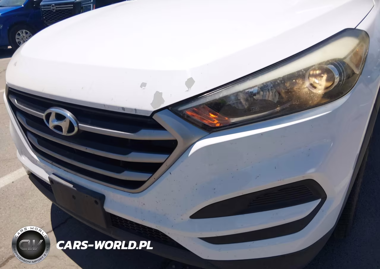 2018 Hyundai Tucson Se VIN:KM8J23A43JU710453 - 12