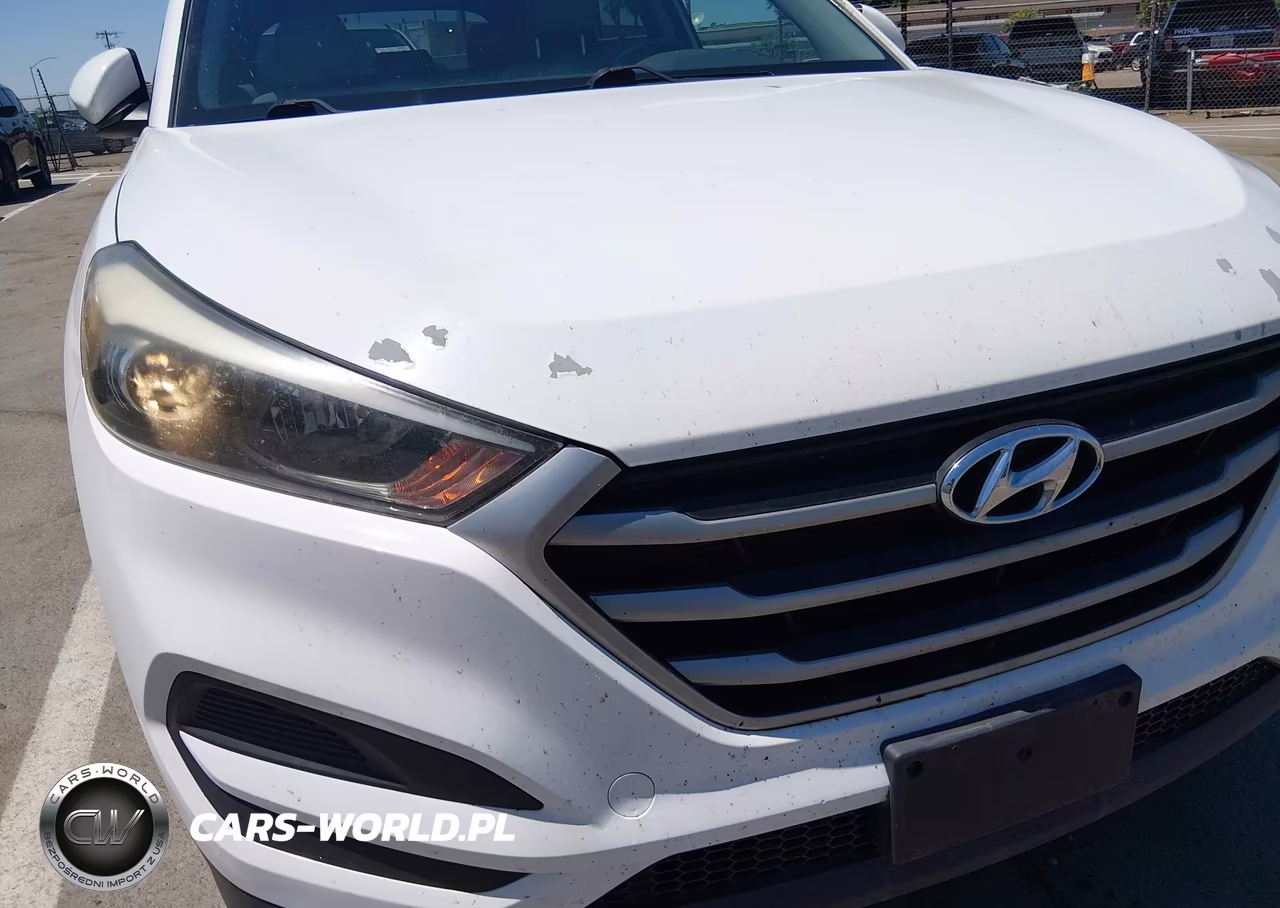 2018 Hyundai Tucson Se VIN:KM8J23A43JU710453 - 13