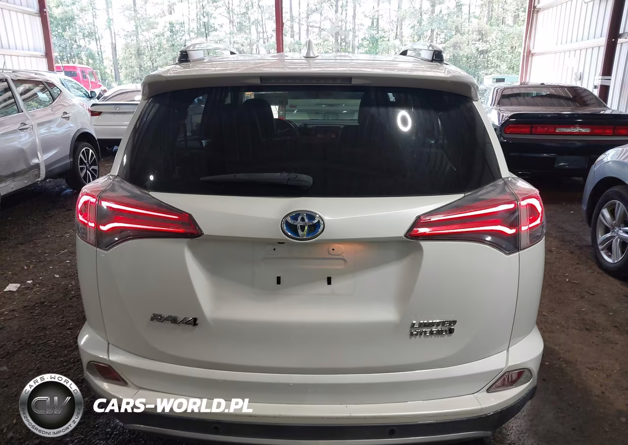 2017 Toyota Rav4 Hybrid Limited VIN:JTMDJREV0HD144319 - 16