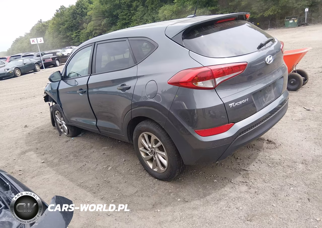 2017 Hyundai Tucson Se VIN:KM8J23A4XHU401427 - 3