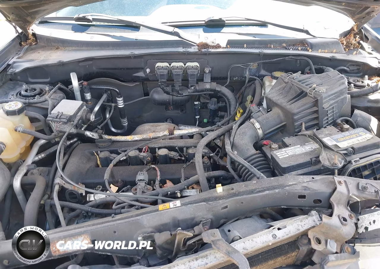 2006 Ford Escape Xls VIN:1FMCU02Z36KA41888 - 10