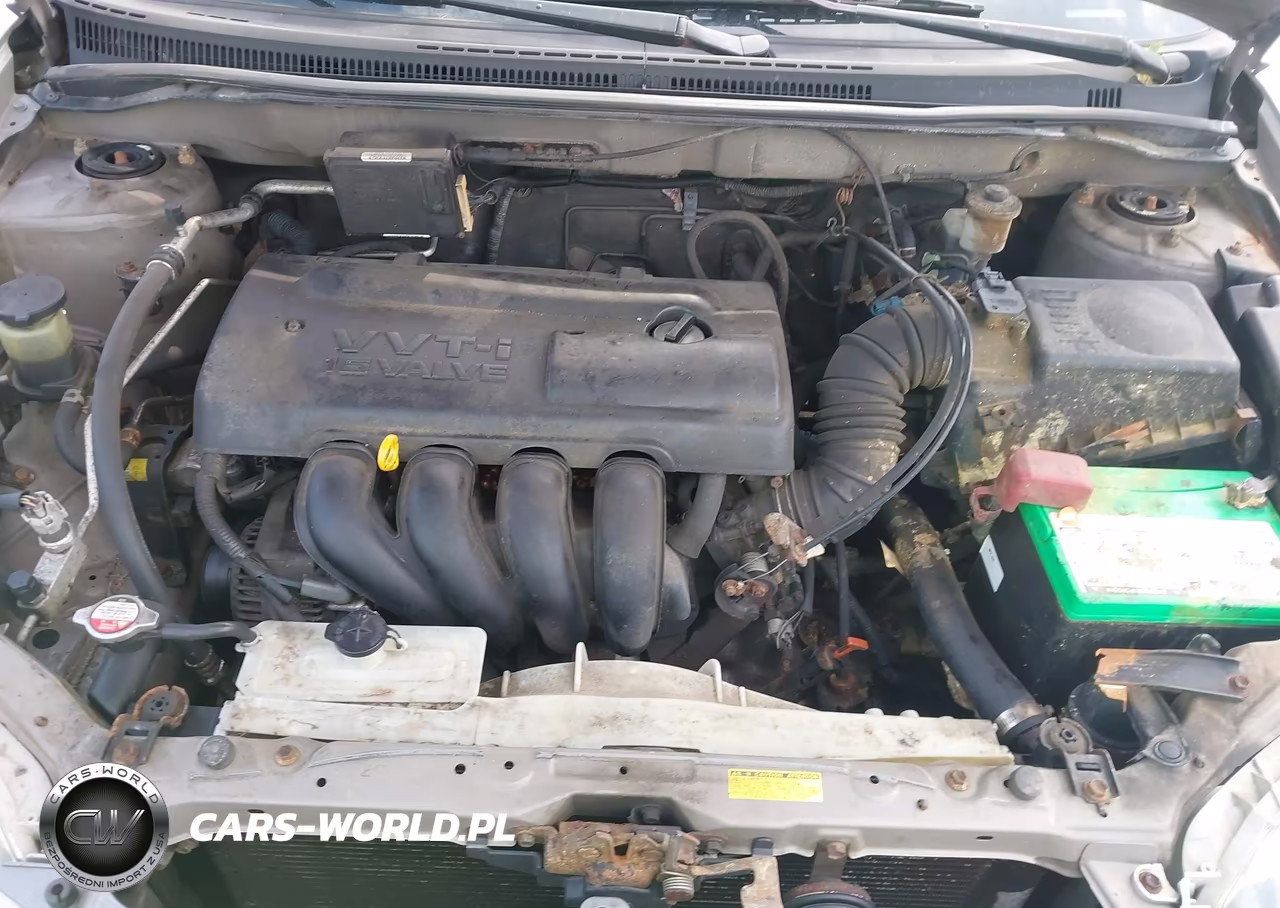 2003 Toyota Corolla Ce VIN:1NXBR32E63Z132861 - 10