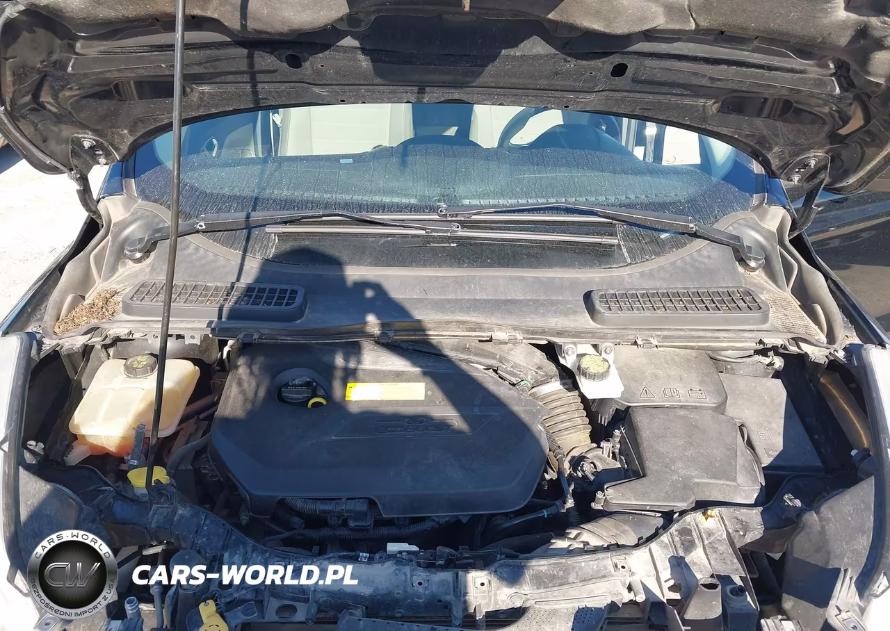 2016 Ford Escape Se VIN:1FMCU9GX5GUB83810 - 10