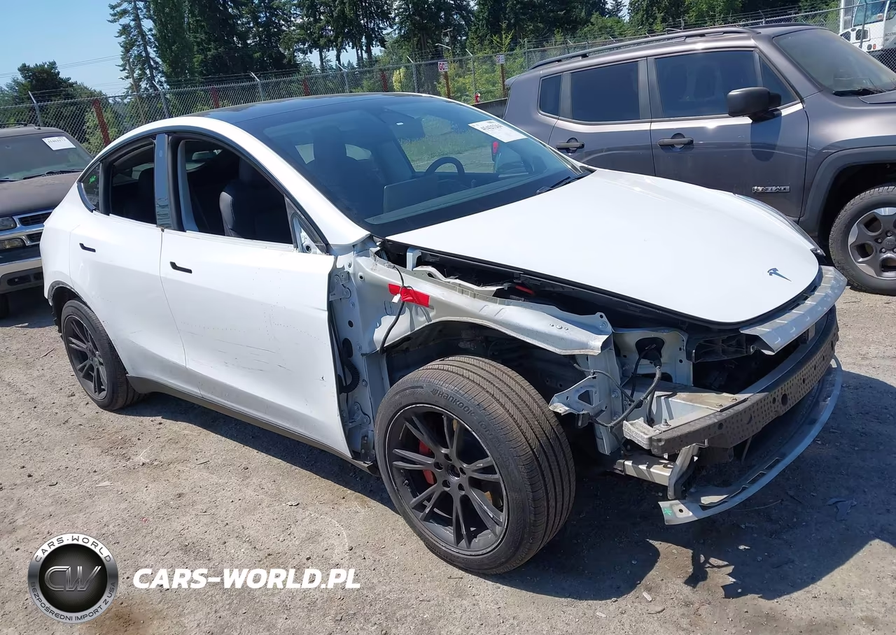 2020 Tesla Model Y Long Range Dual Motor All-Wheel Drive