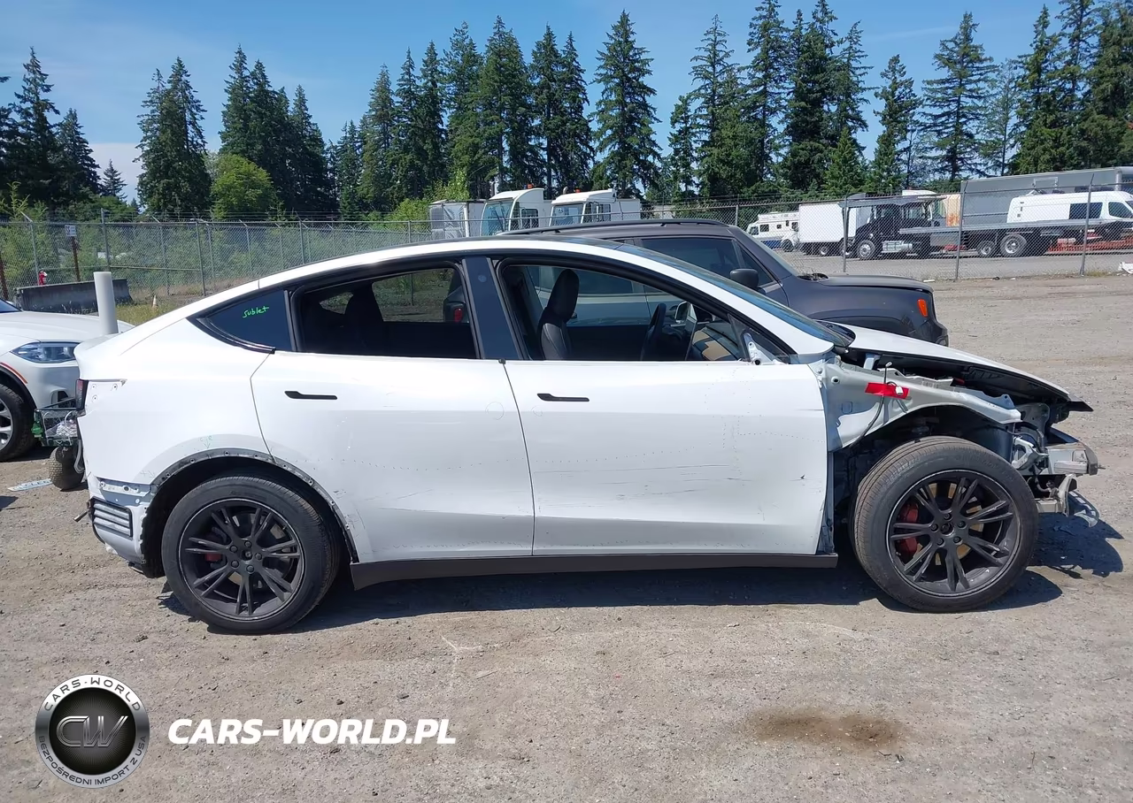 2020 Tesla Model Y Long Range Dual Motor All-Wheel Drive VIN:5YJYGDEE9LF052842 - 14