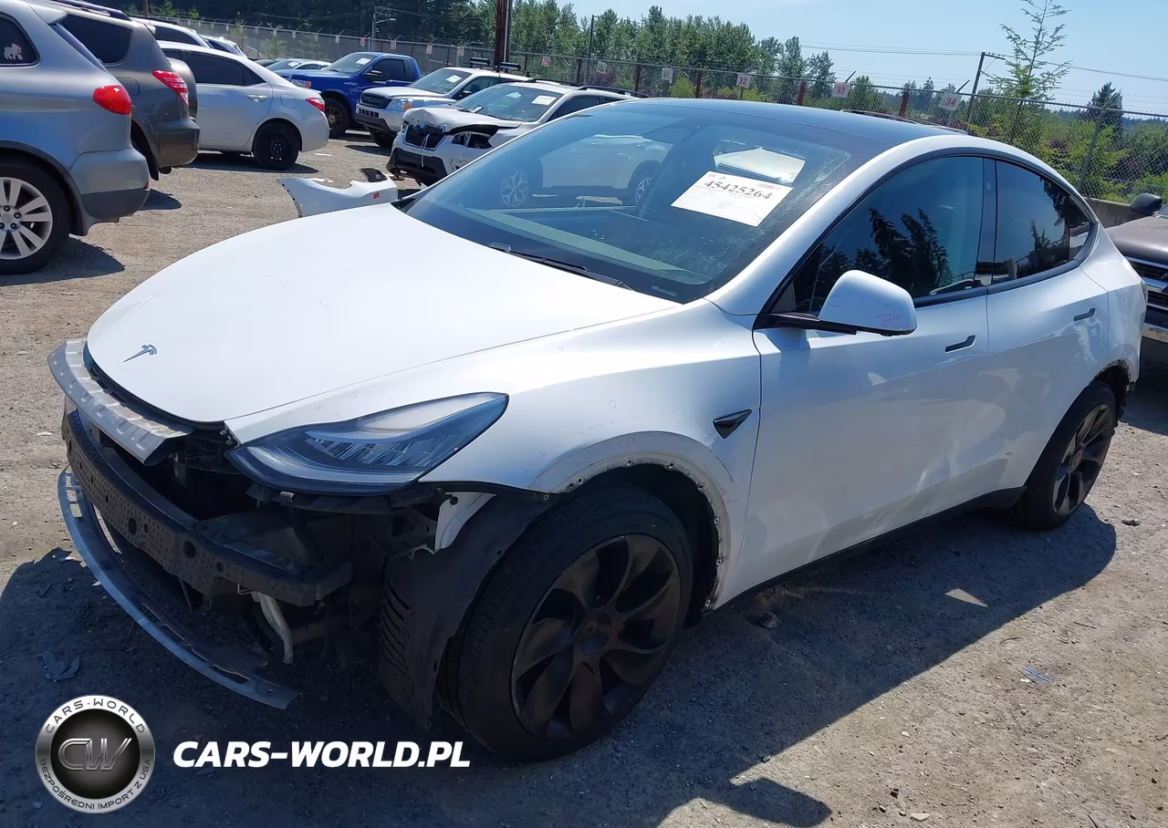 2020 Tesla Model Y Long Range Dual Motor All-Wheel Drive VIN:5YJYGDEE9LF052842 - 2