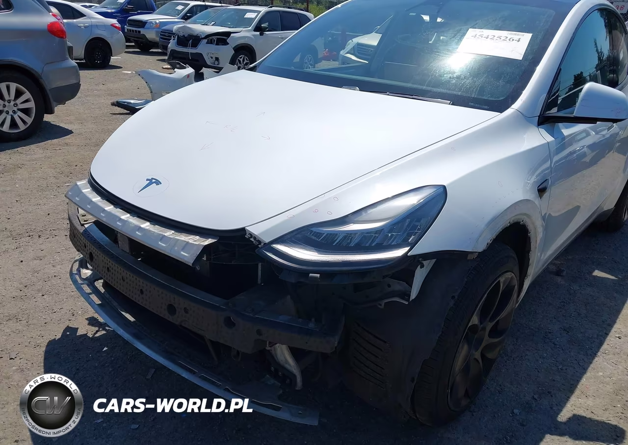 2020 Tesla Model Y Long Range Dual Motor All-Wheel Drive VIN:5YJYGDEE9LF052842 - 20