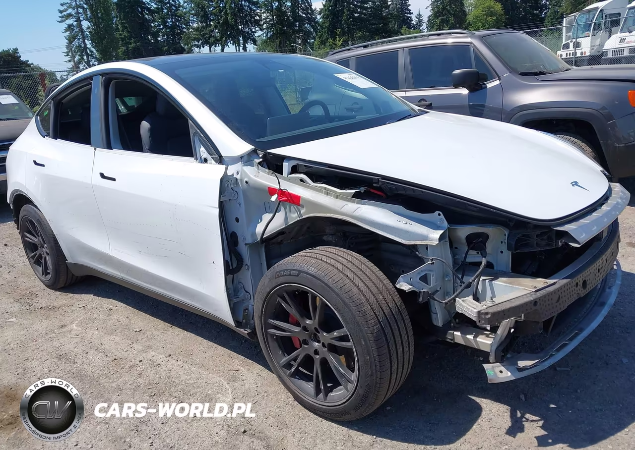 2020 Tesla Model Y Long Range Dual Motor All-Wheel Drive VIN:5YJYGDEE9LF052842 - 21