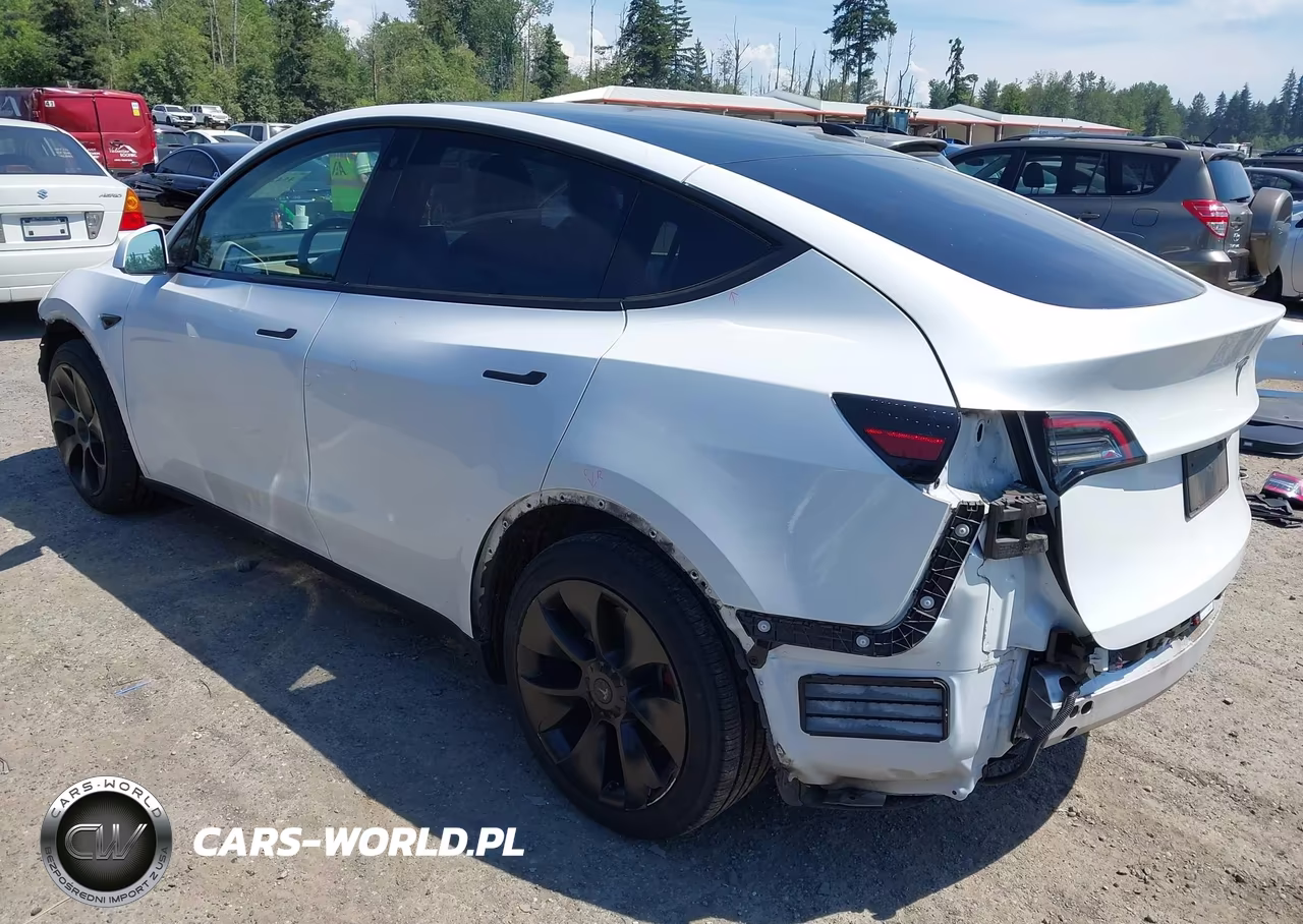2020 Tesla Model Y Long Range Dual Motor All-Wheel Drive VIN:5YJYGDEE9LF052842 - 3