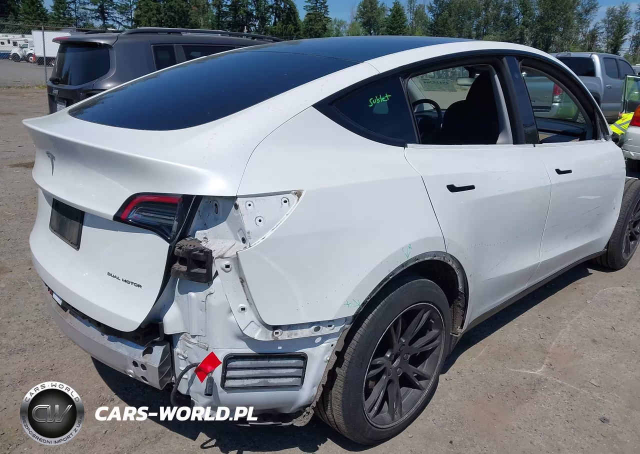 2020 Tesla Model Y Long Range Dual Motor All-Wheel Drive VIN:5YJYGDEE9LF052842 - 4
