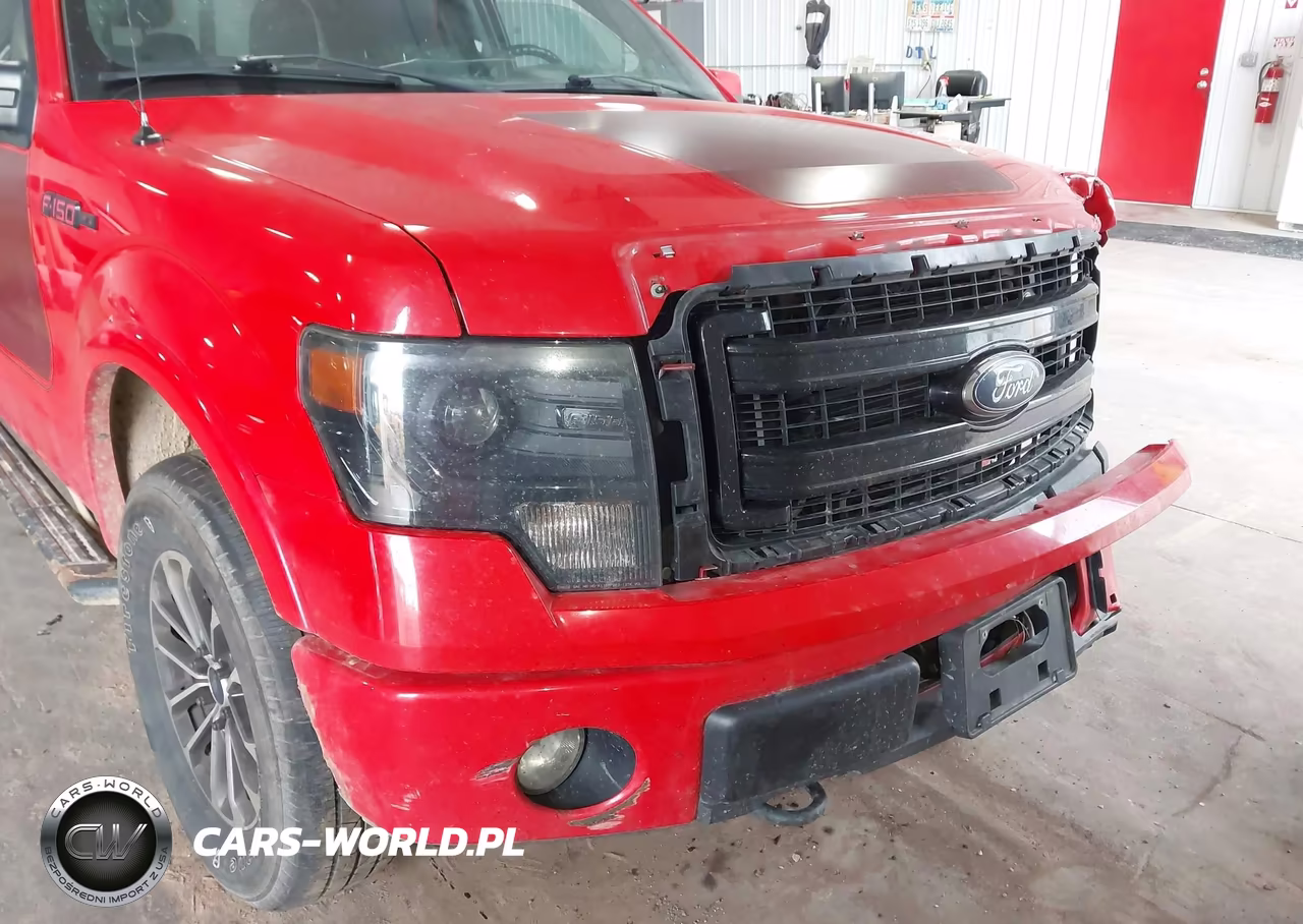 2013 Ford F-150 Fx4-King Ranch-Lariat-Platinum-Xl-Xlt VIN:1FTFW1EF9DFC80757 - 6