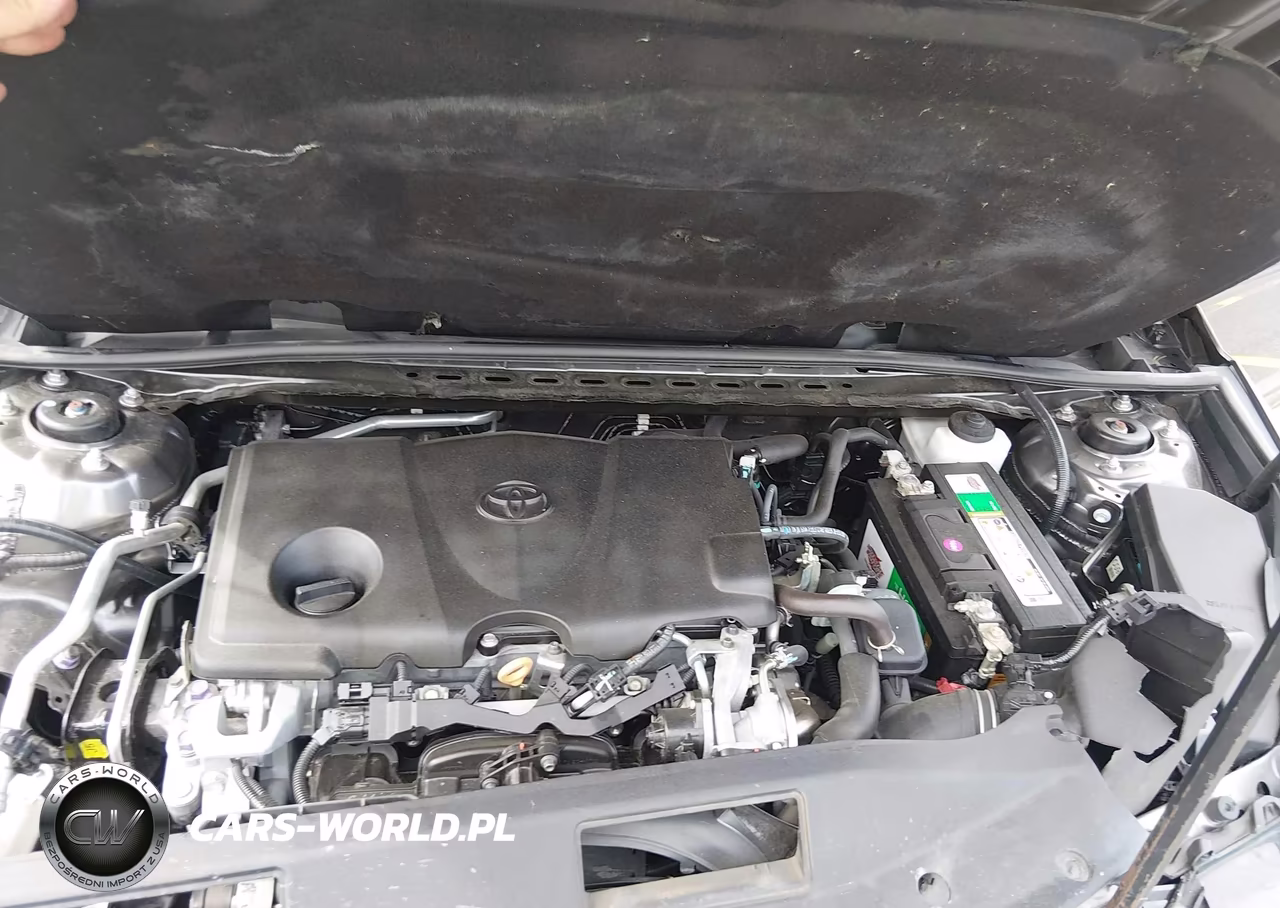 2019 Toyota Camry Se VIN:4T1B11HK6KU175118 - 10