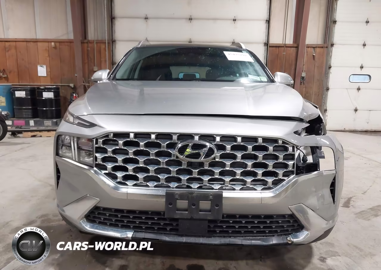 2023 Hyundai Santa Fe Sel VIN:5NMS3DAJ2PH629591 - 13