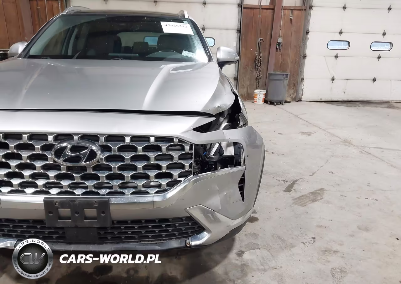 2023 Hyundai Santa Fe Sel VIN:5NMS3DAJ2PH629591 - 20