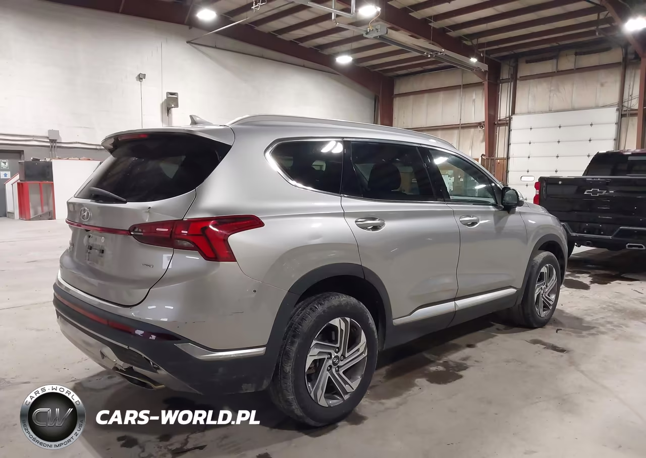 2023 Hyundai Santa Fe Sel VIN:5NMS3DAJ2PH629591 - 4