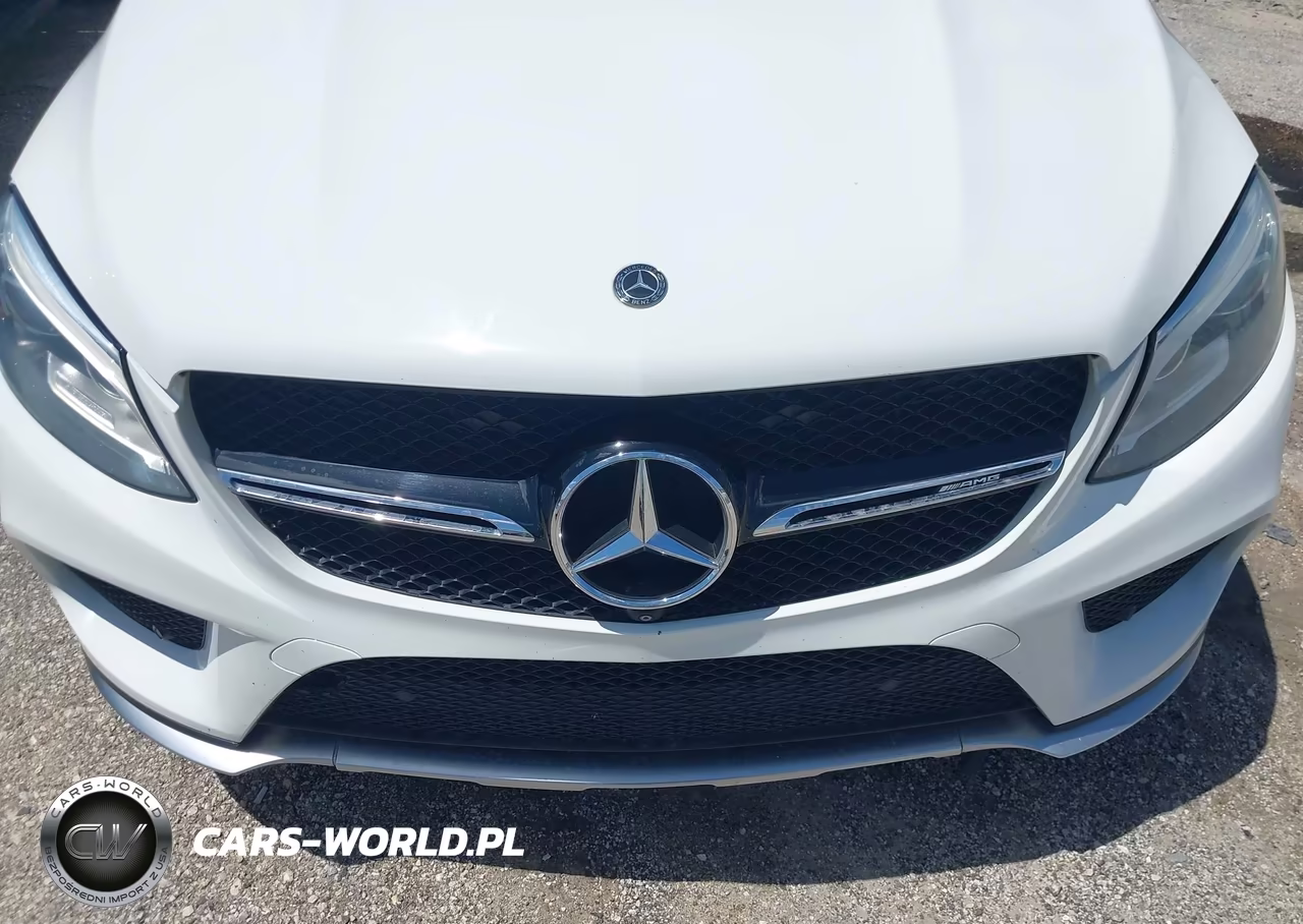 2017 Mercedes-Benz Amg Gle 43 Coupe 4Matic VIN:4JGED6EB3HA085196 - 6
