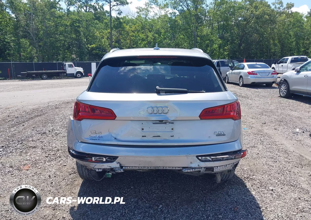2018 Audi Q5 2.0T Premium-2.0T Tech Premium VIN:WA1ANAFY2J2193406 - 17