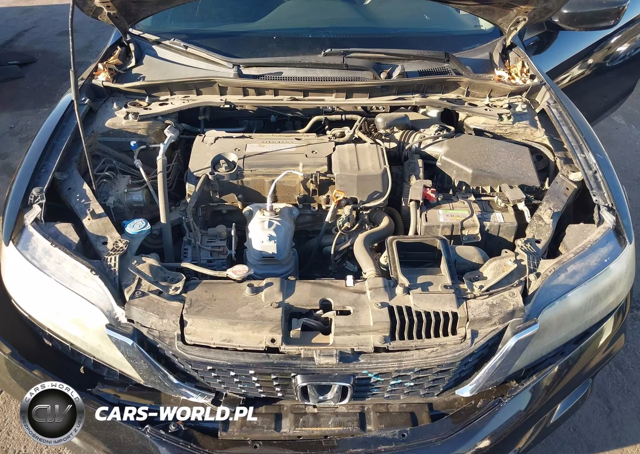 2015 Honda Accord Lx-S VIN:1HGCT1B3XFA007429 - 10