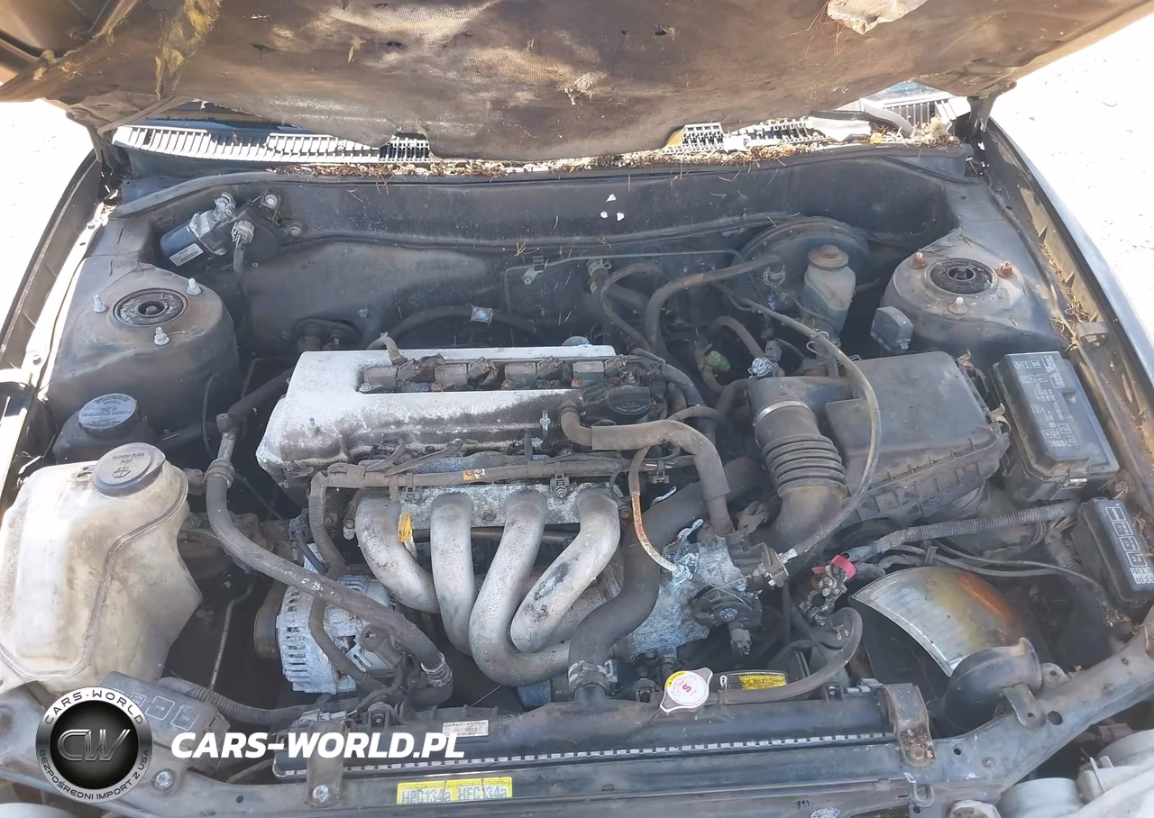 2001 Toyota Corolla S VIN:1NXBR12E31Z423366 - 10