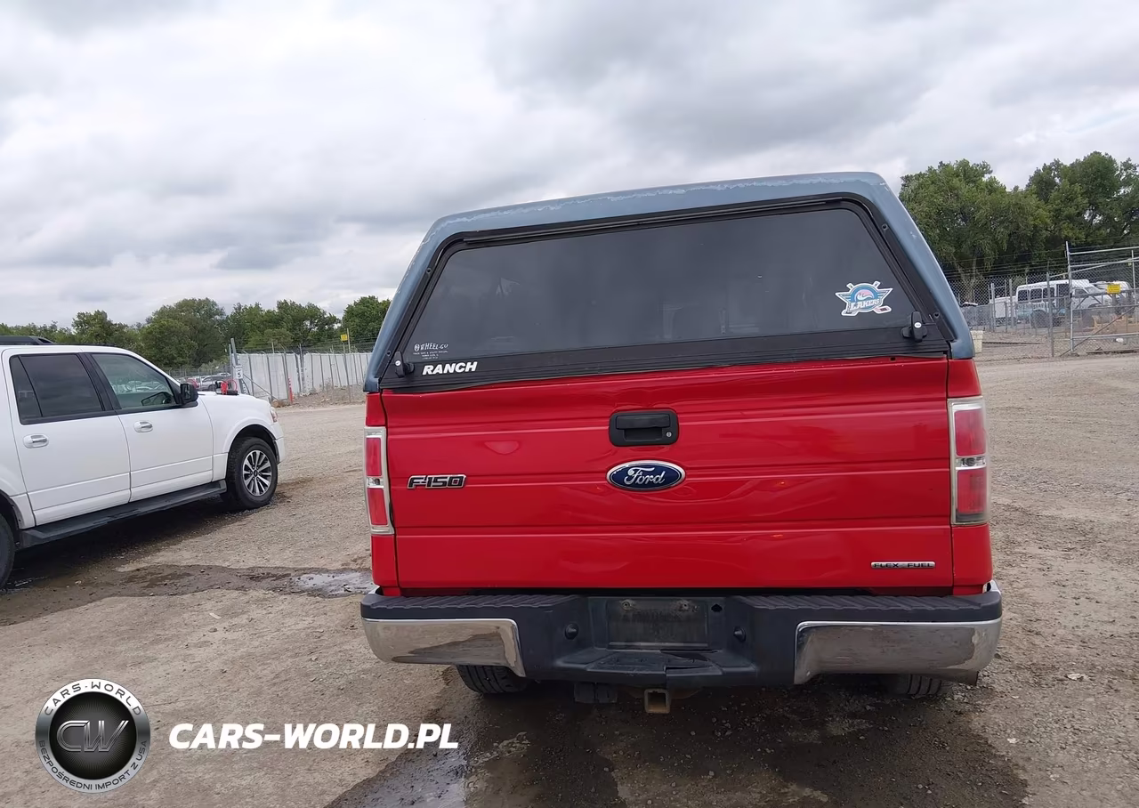 2012 Ford F-150 Fx4-King Ranch-Lariat-Platinum-Xl-Xlt VIN:1FTFW1EF9CKD69783 - 16