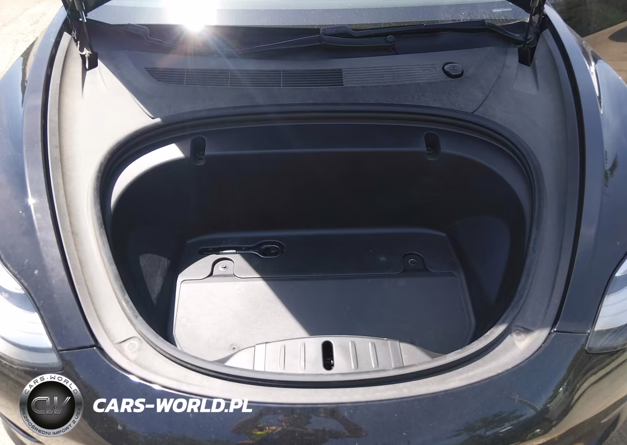 2020 Tesla Model 3 Performance Dual Motor All-Wheel Drive VIN:5YJ3E1EC5LF713280 - 10