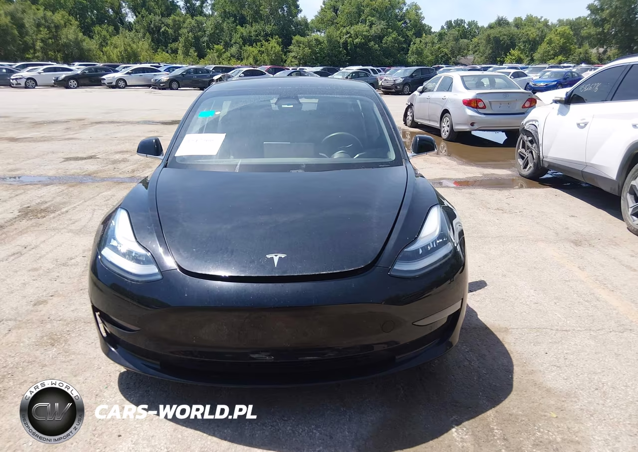 2020 Tesla Model 3 Performance Dual Motor All-Wheel Drive VIN:5YJ3E1EC5LF713280 - 12
