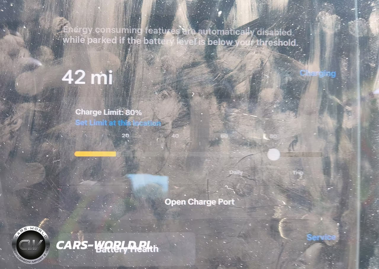 2020 Tesla Model 3 Performance Dual Motor All-Wheel Drive VIN:5YJ3E1EC5LF713280 - 17