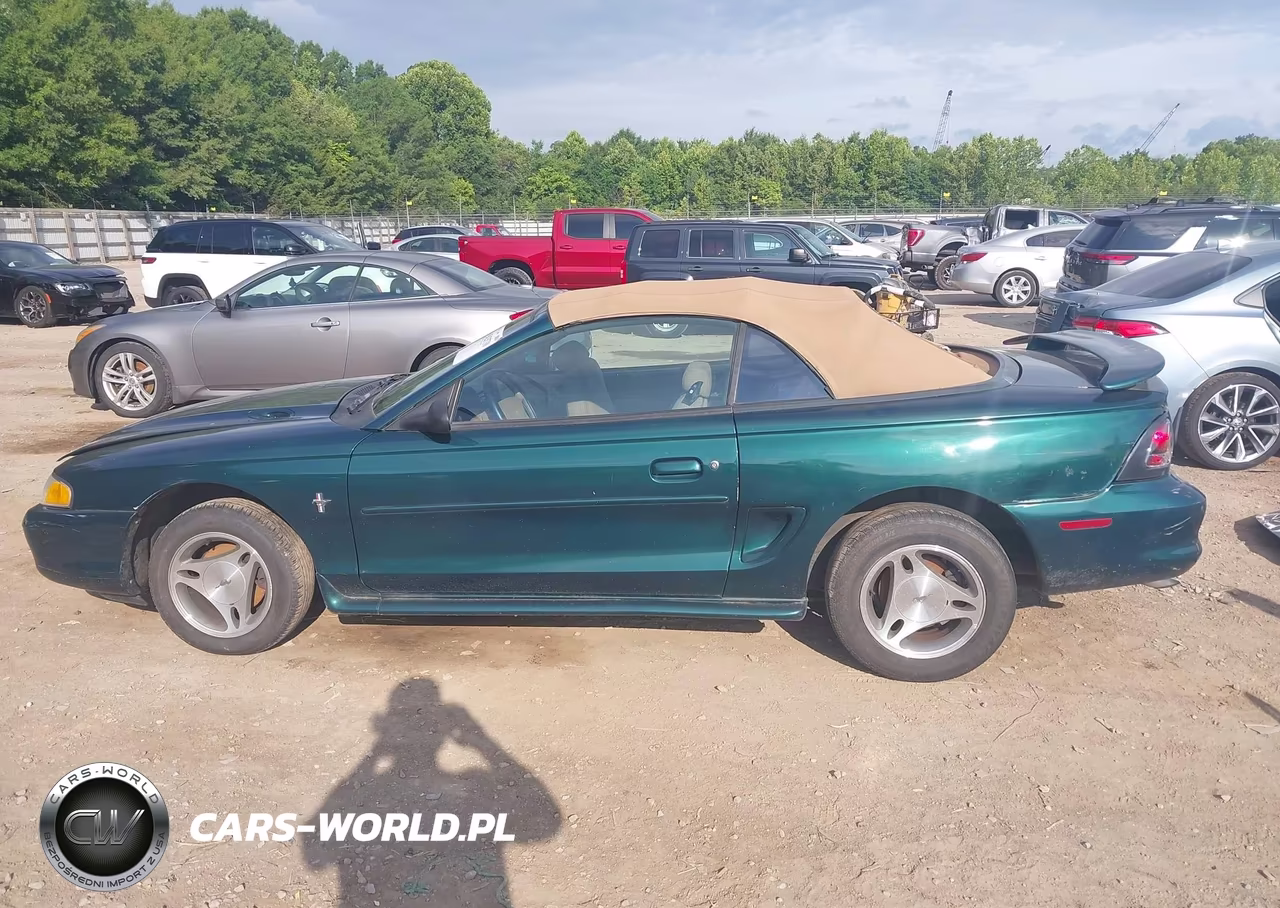 1998 Ford Mustang VIN:1FAFP4440WF134982 - 14