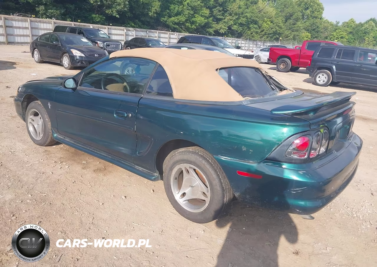 1998 Ford Mustang VIN:1FAFP4440WF134982 - 3